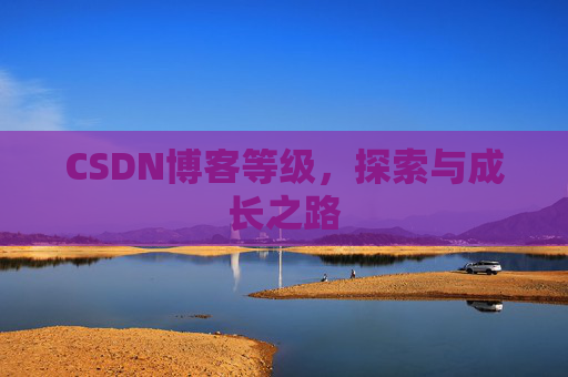 CSDN博客等级，探索与成长之路